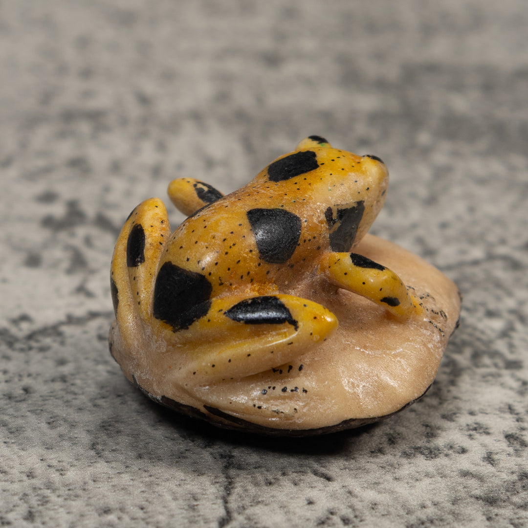Vintage Yellow And Black Poison Dart Frog Tagua Carving