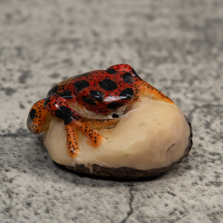 Vintage Red And Black Poison Dart Frog Tagua Carving