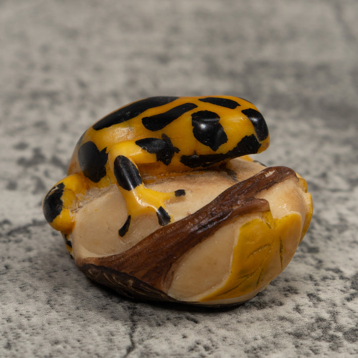 Black And Gold Frog Tagua Carving