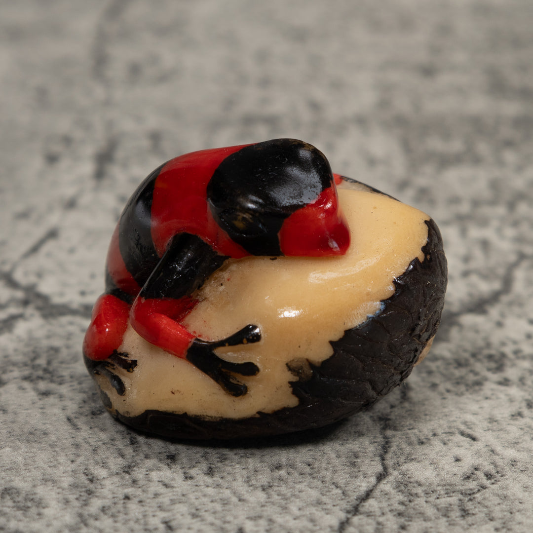 Vintage Red And Black Poison Dart Frog Tagua Carving