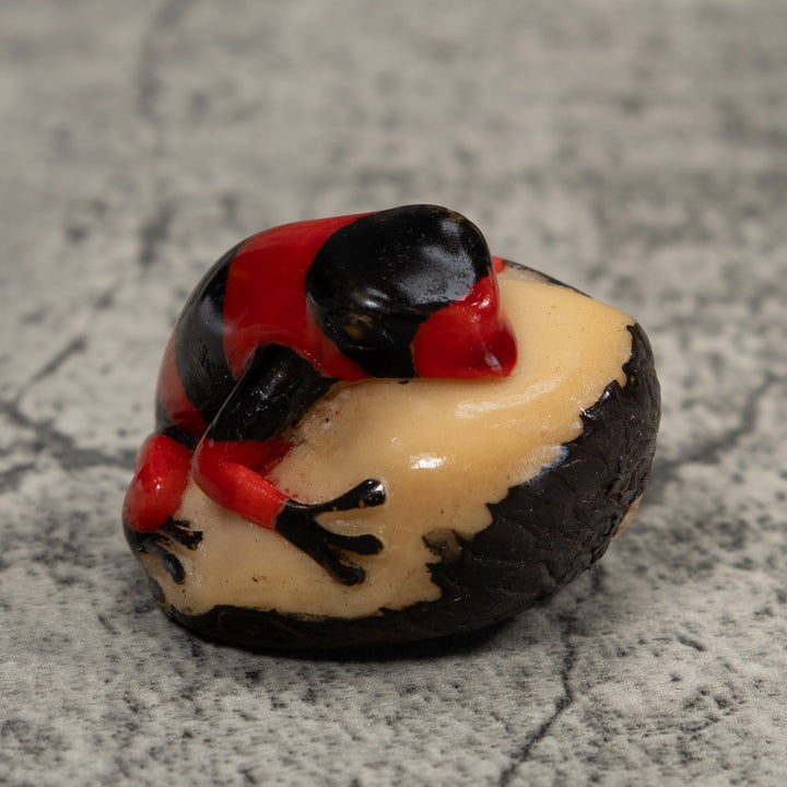 Vintage Red And Black Poison Dart Frog Tagua Carving