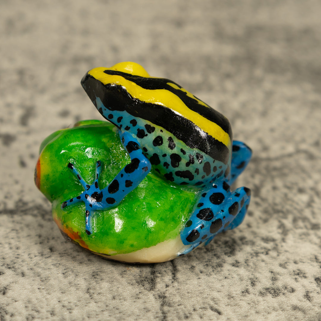 Black Yellow And Blue Poison Dart Frog Tagua Carving