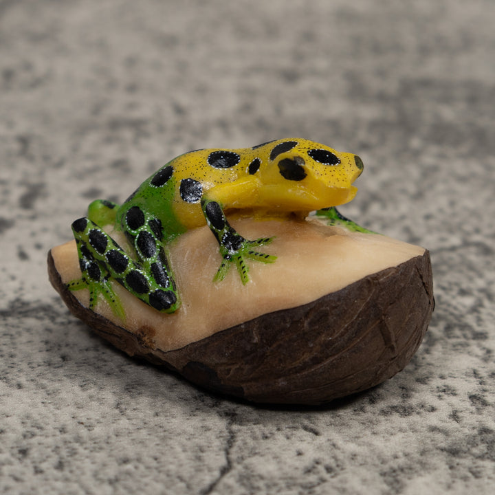 Poison Dart Frog Tagua Carving