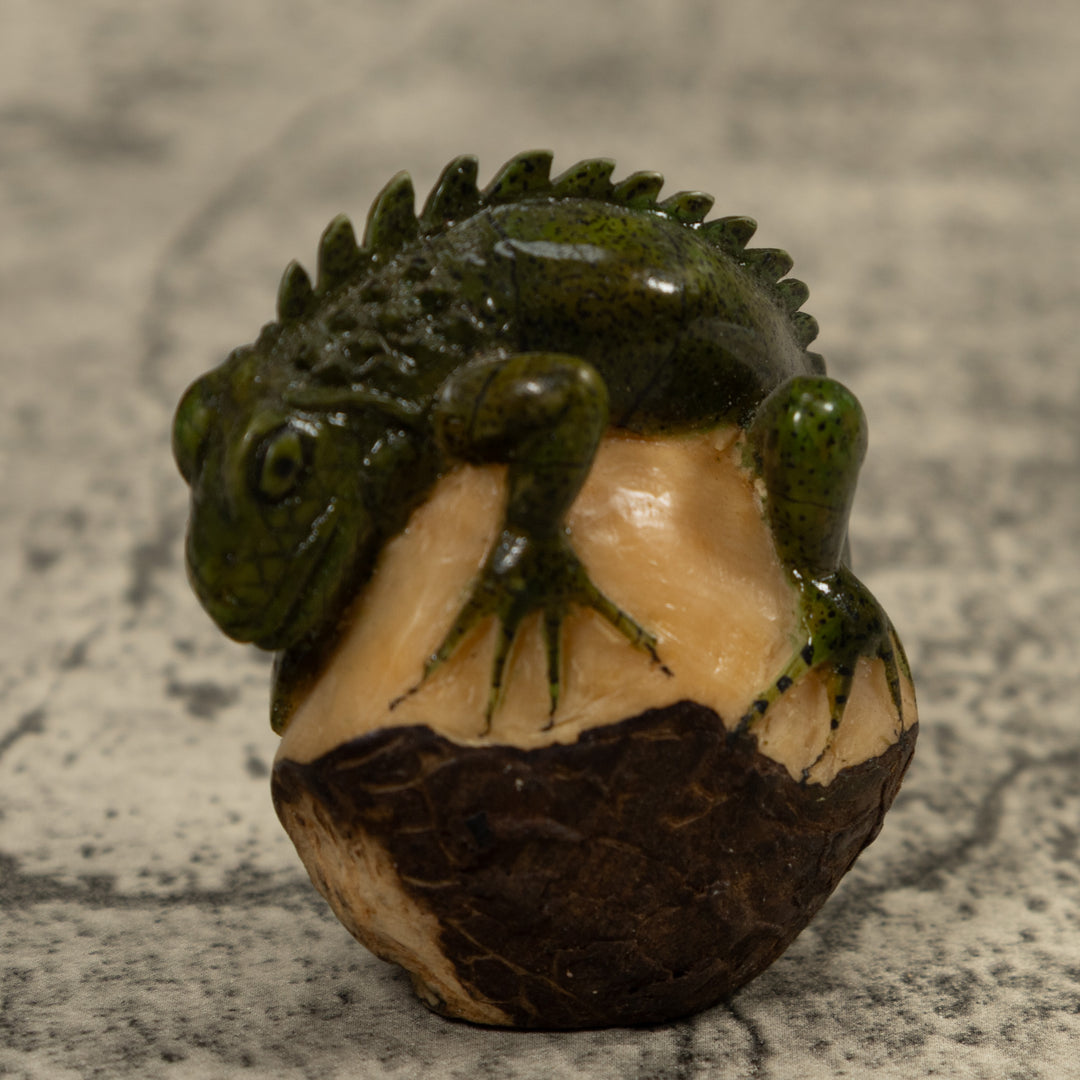 Iguana Lizard Reptile Tagua Carving