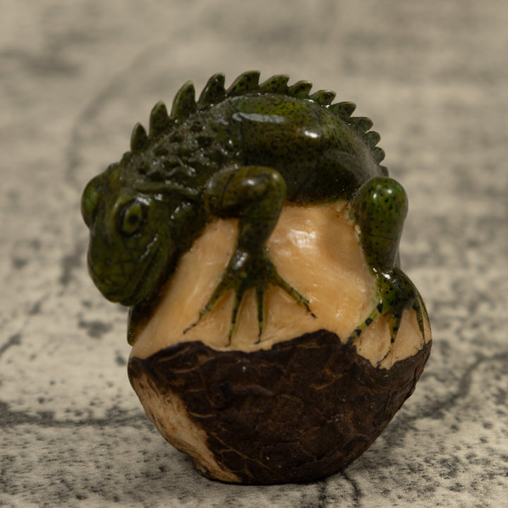 Iguana Lizard Reptile Tagua Carving