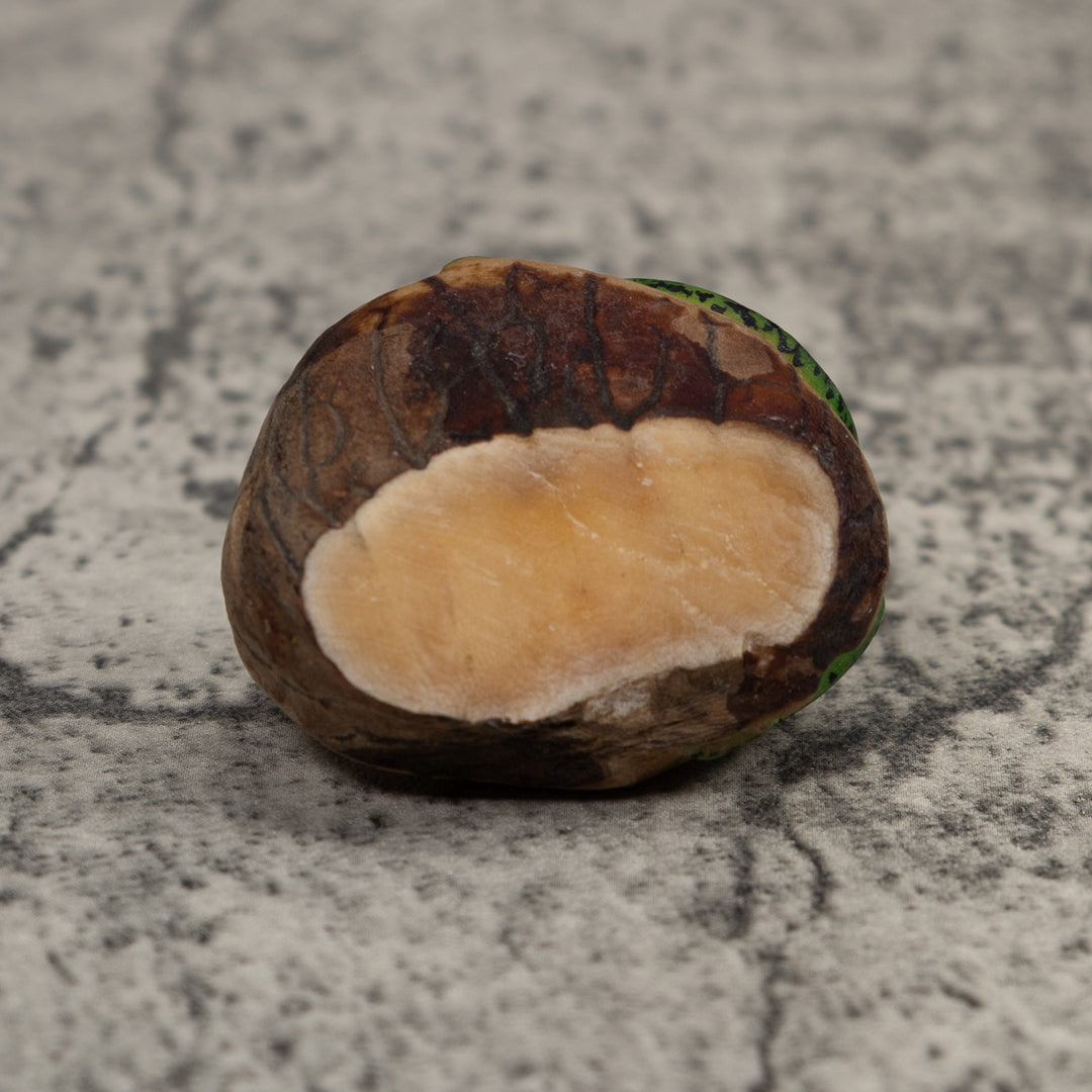 Vintage Frog Tagua Carving