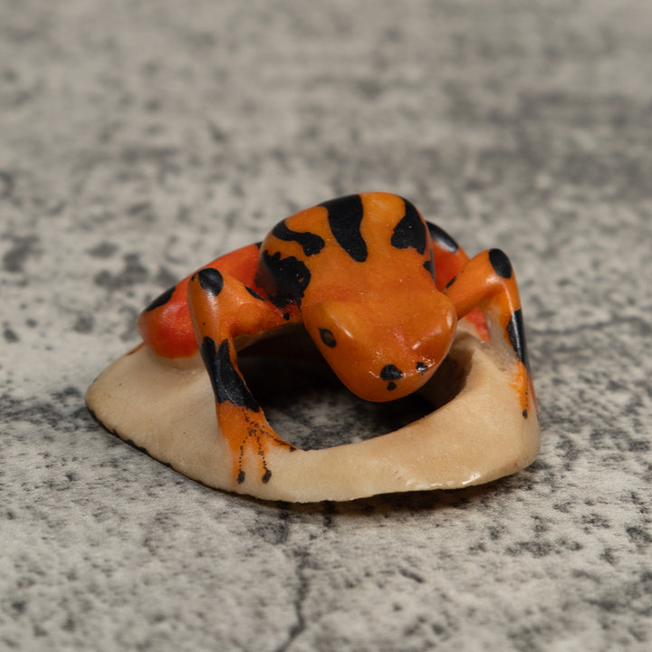 Vintage Orange And Black Poison Dart Frog Tagua Carving