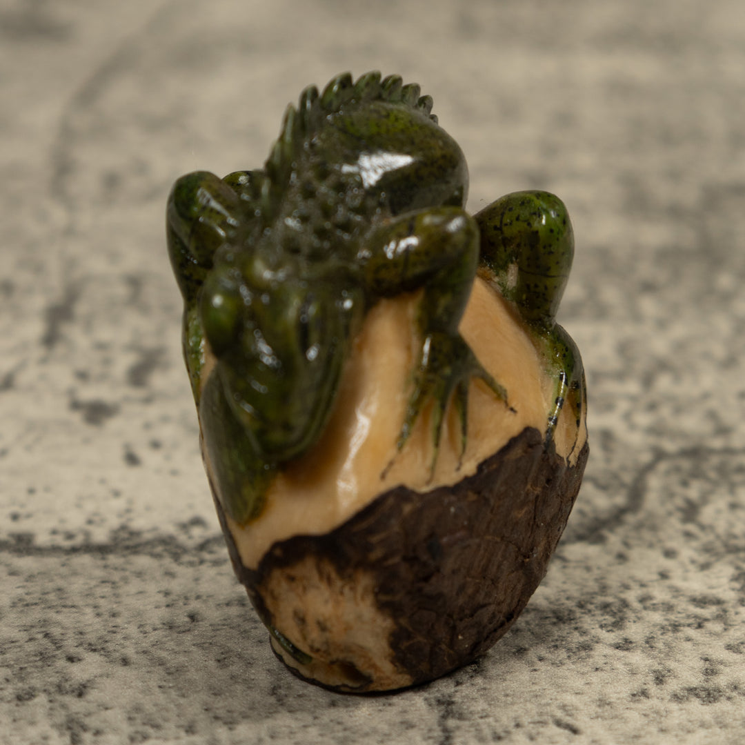 Iguana Lizard Reptile Tagua Carving