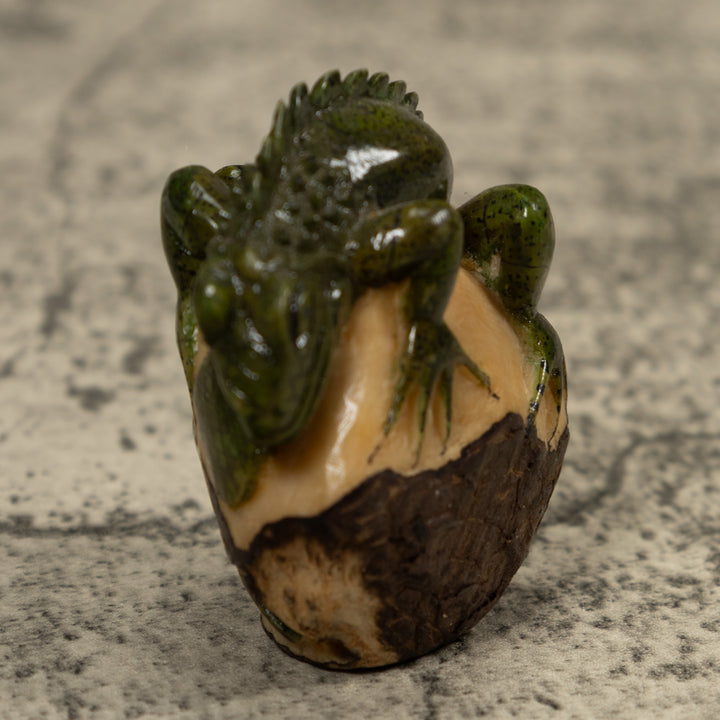 Iguana Lizard Reptile Tagua Carving