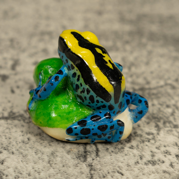 Black Yellow And Blue Poison Dart Frog Tagua Carving