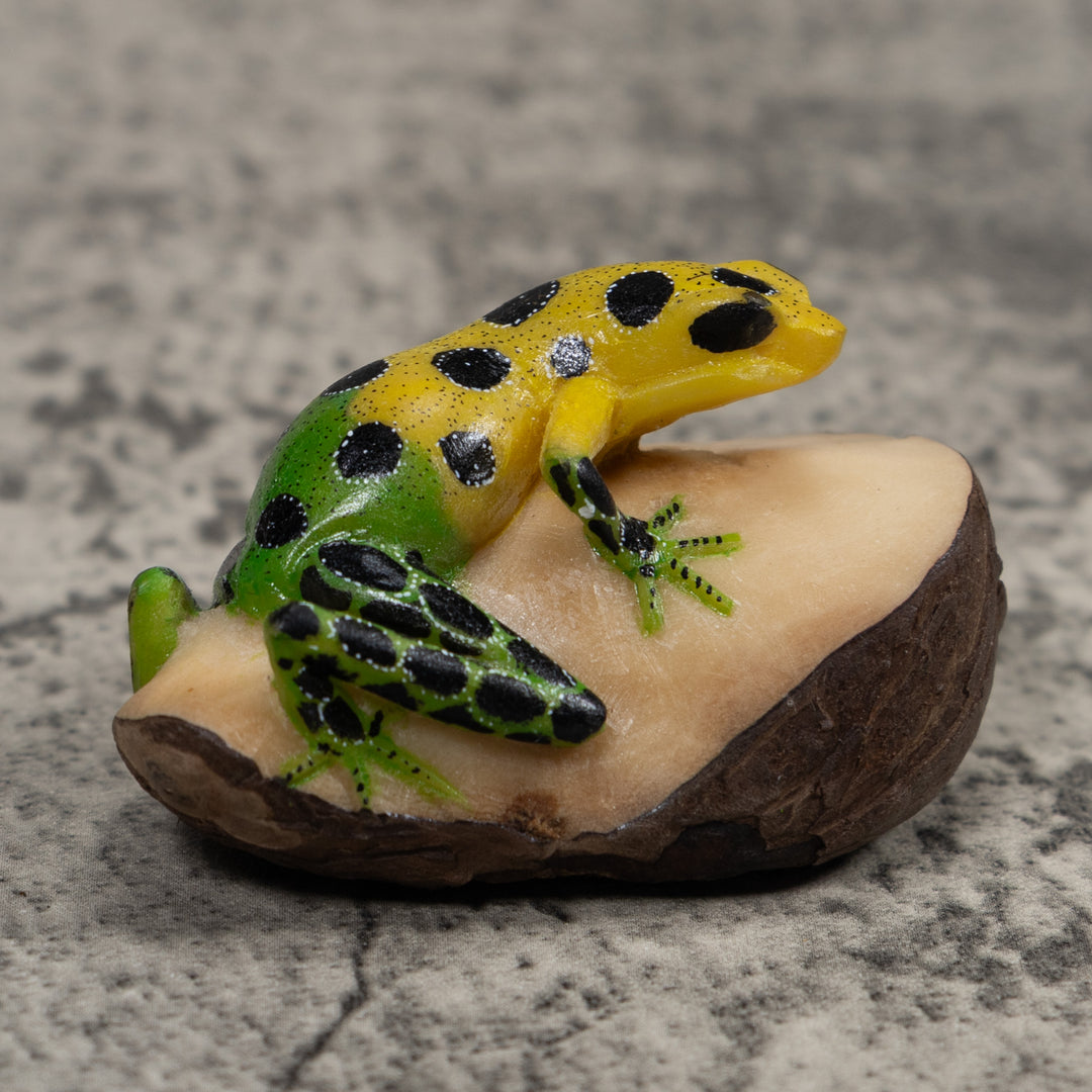 Poison Dart Frog Tagua Carving