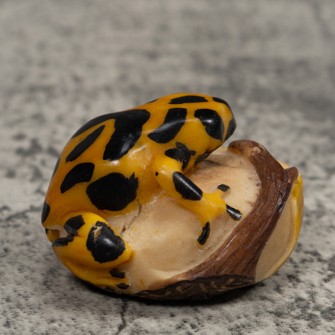 Black And Gold Frog Tagua Carving