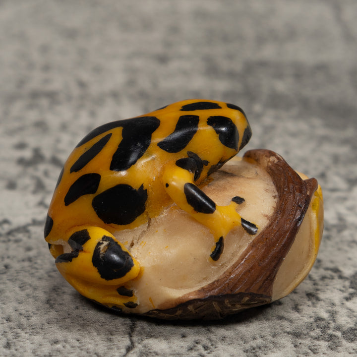 Black And Gold Frog Tagua Carving