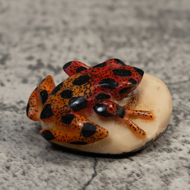 Vintage Red And Black Poison Dart Frog Tagua Carving