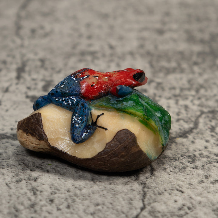 Red And Blue Poison Dart Frog Tagua Carving
