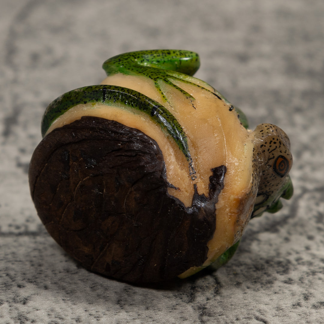 Iguana Lizard Reptile Tagua Carving