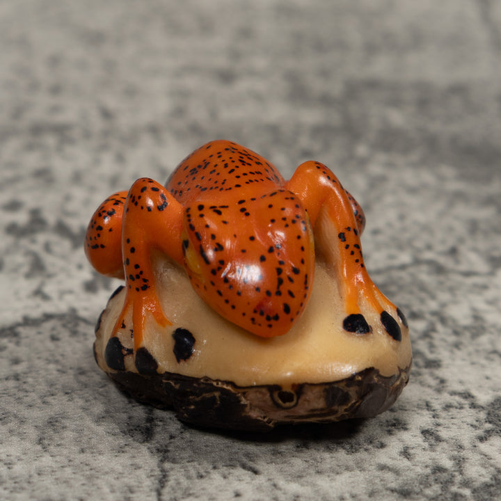 Vintage Frog Tagua Carving