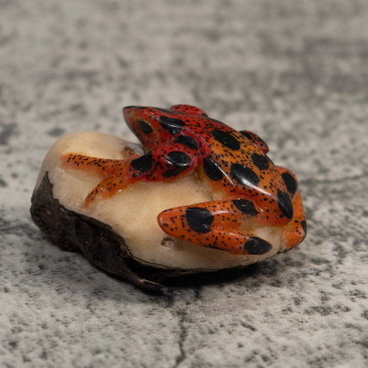 Vintage Red And Black Poison Dart Frog Tagua Carving