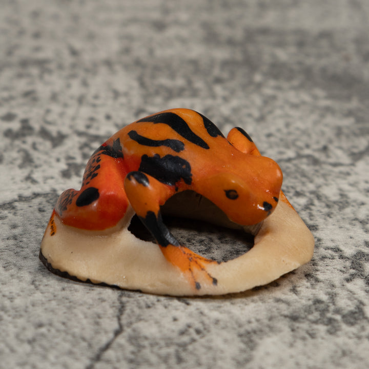Vintage Orange And Black Poison Dart Frog Tagua Carving