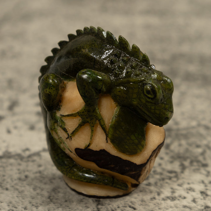 Iguana Lizard Reptile Tagua Carving
