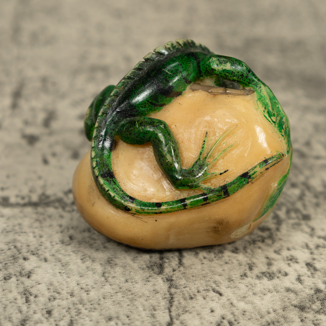 Green Iguana Lizard Tagua Carving