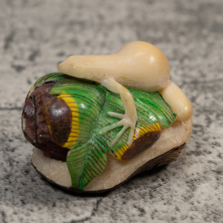 White And Green Natural Frog Tagua Carving