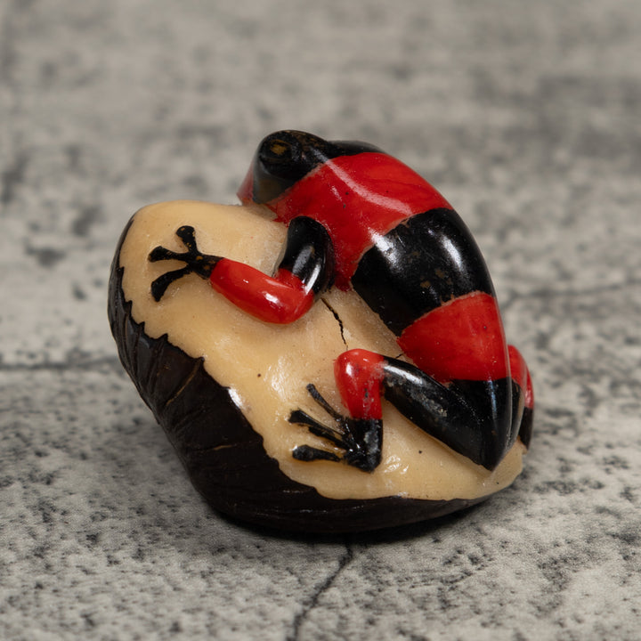 Vintage Red And Black Poison Dart Frog Tagua Carving