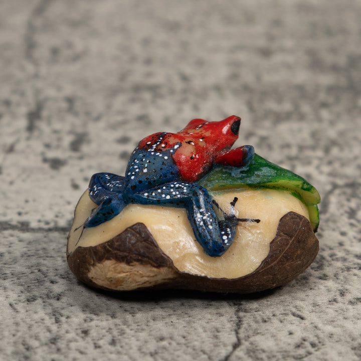 Red And Blue Poison Dart Frog Tagua Carving
