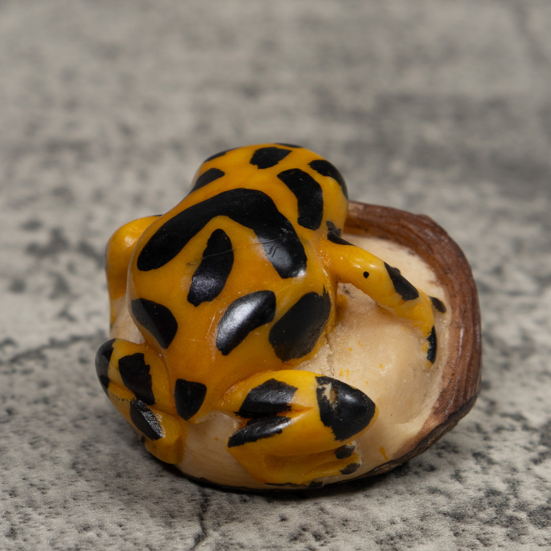 Black And Gold Frog Tagua Carving