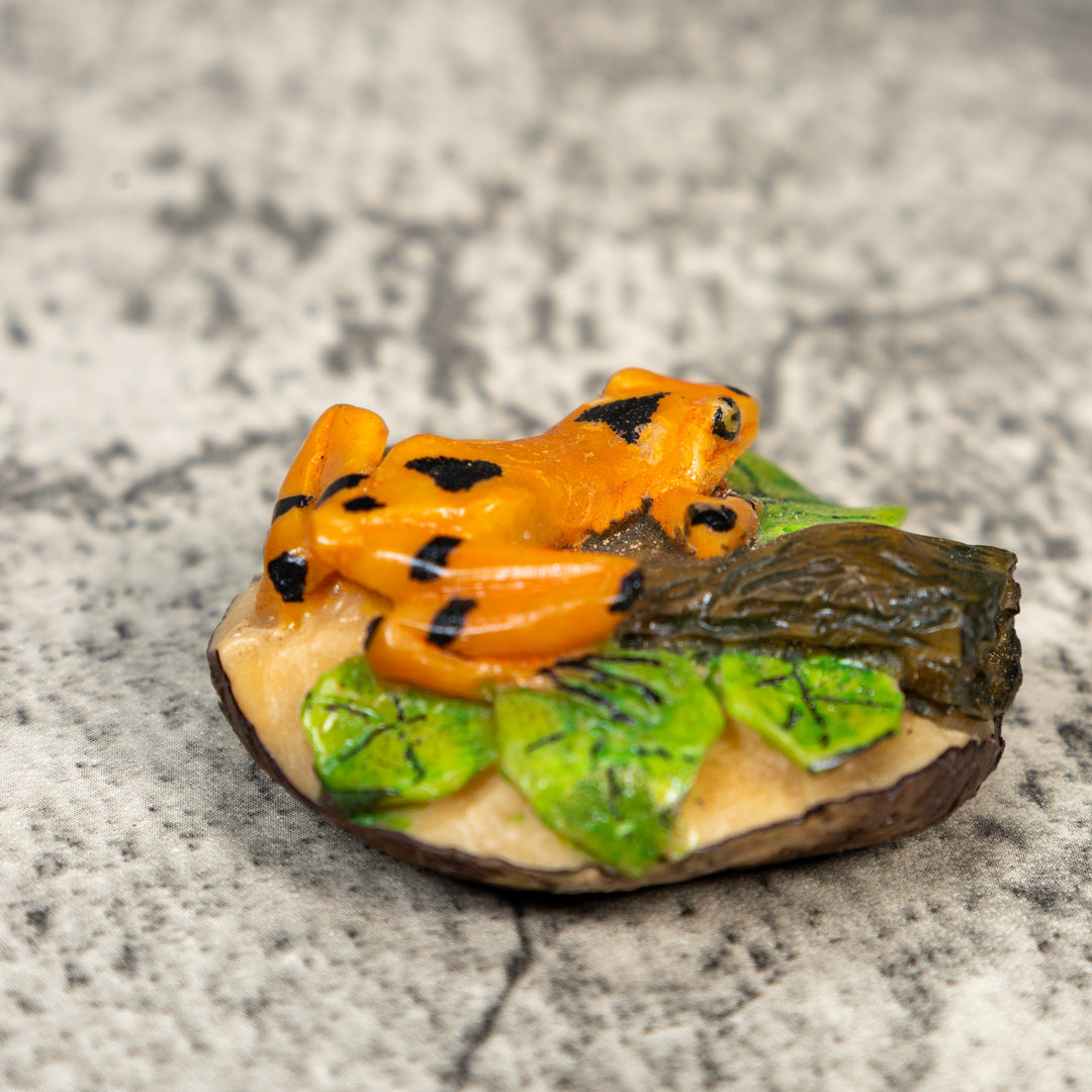 Gorgeous Golden Frog Tagua Carving