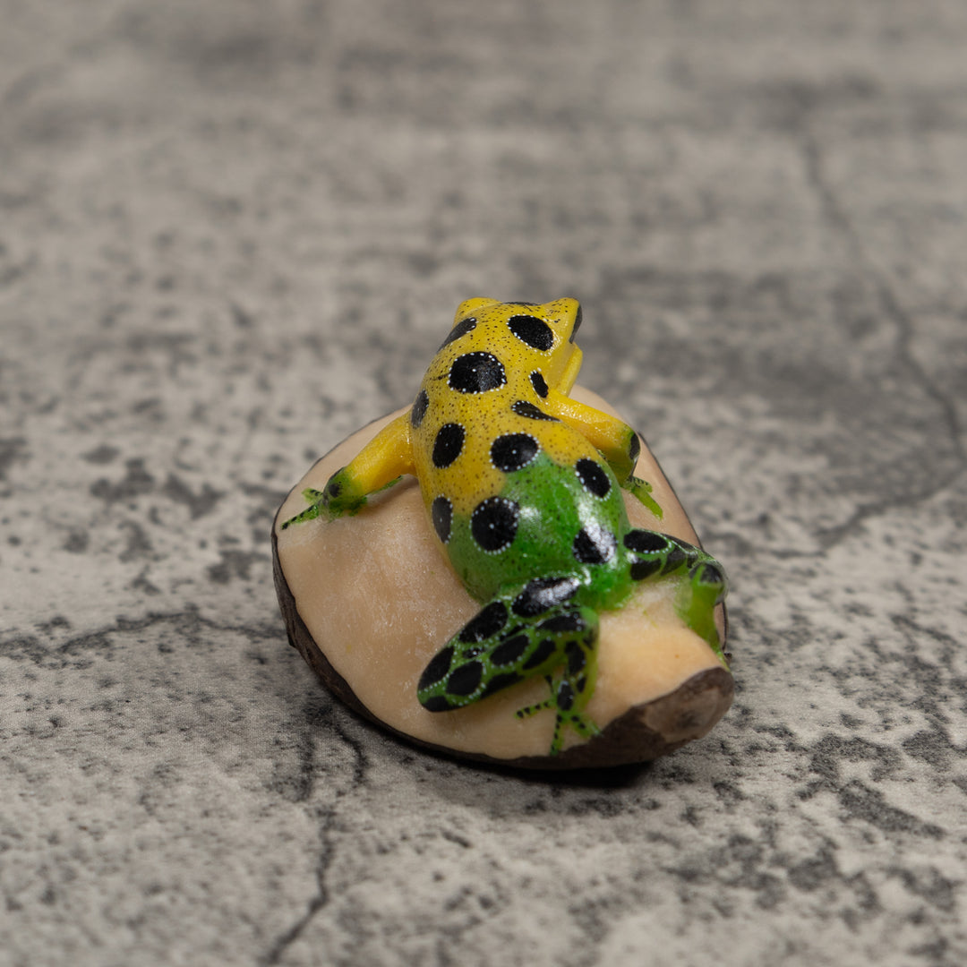 Poison Dart Frog Tagua Carving