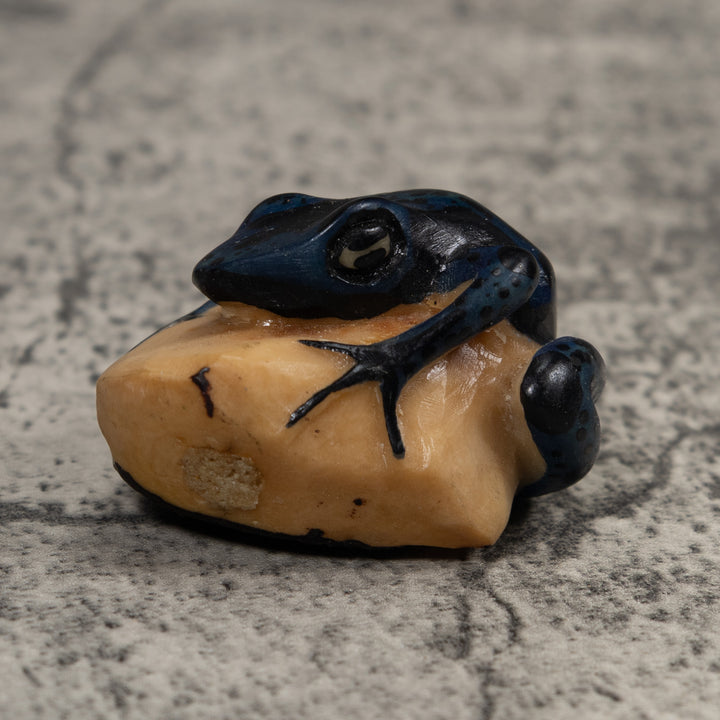 Vintage Dark Blue Green Frog Tagua Carving