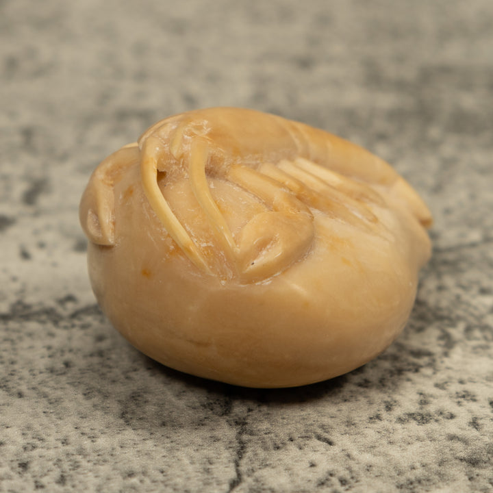 Vintage White Shrimp Tagua Carving