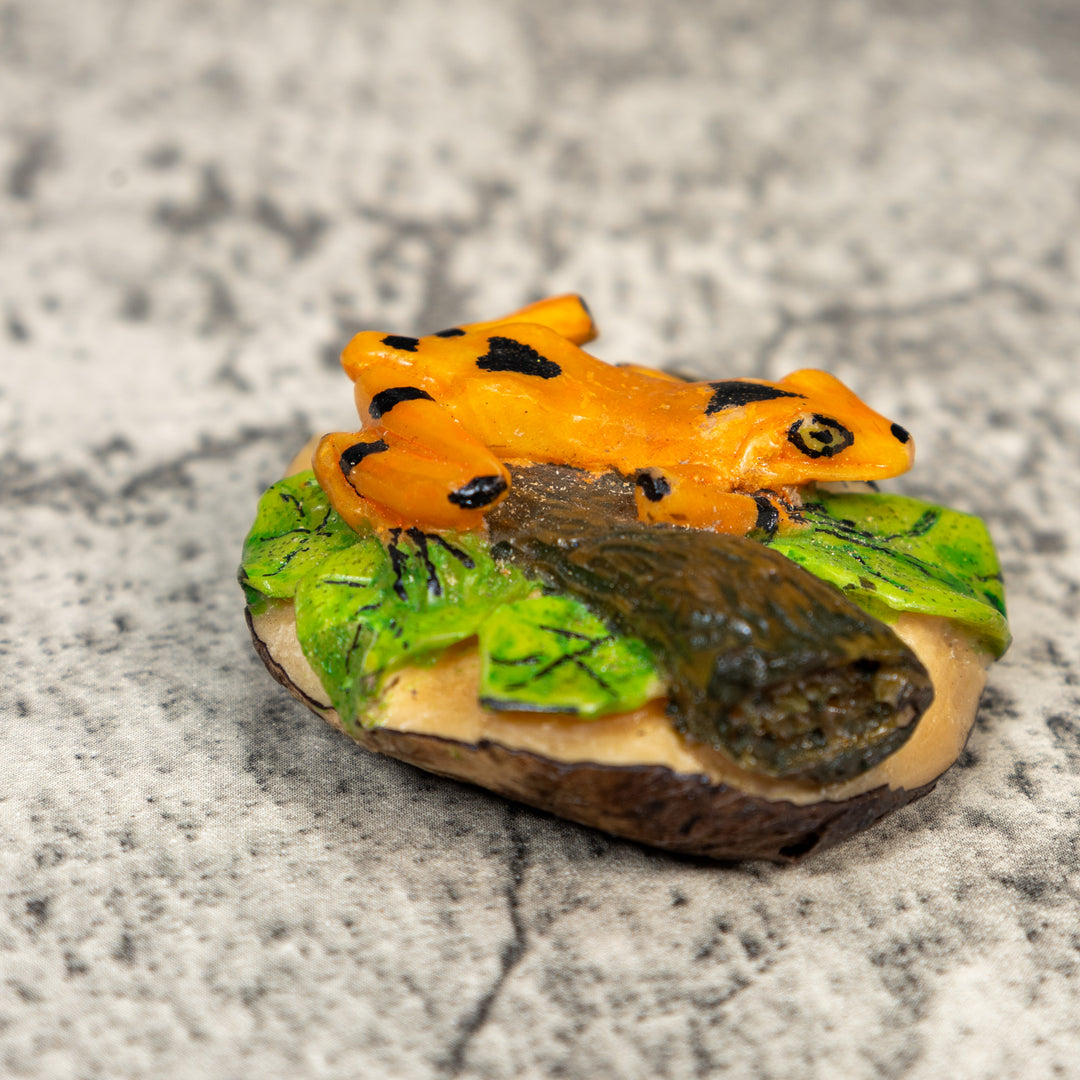 Gorgeous Golden Frog Tagua Carving