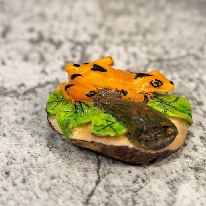 Gorgeous Golden Frog Tagua Carving