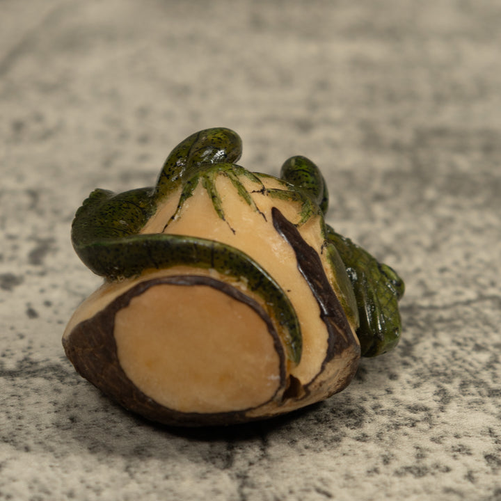 Iguana Lizard Reptile Tagua Carving