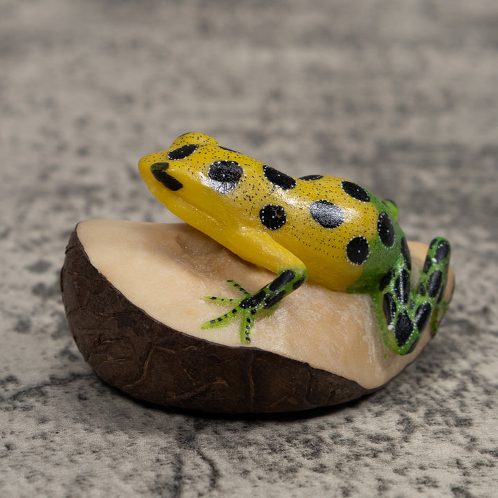 Poison Dart Frog Tagua Carving