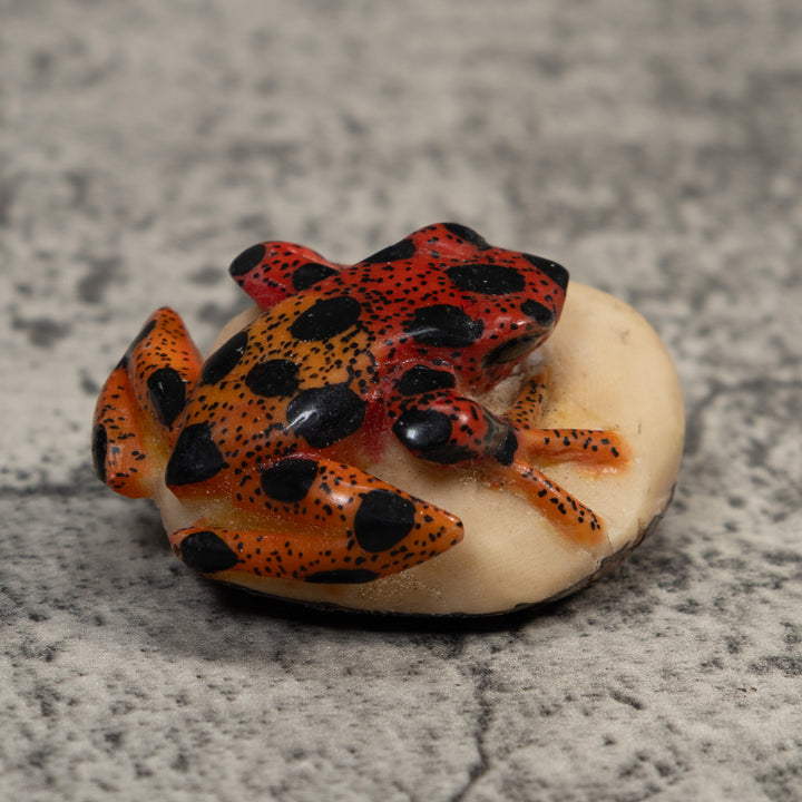 Vintage Red And Black Poison Dart Frog Tagua Carving