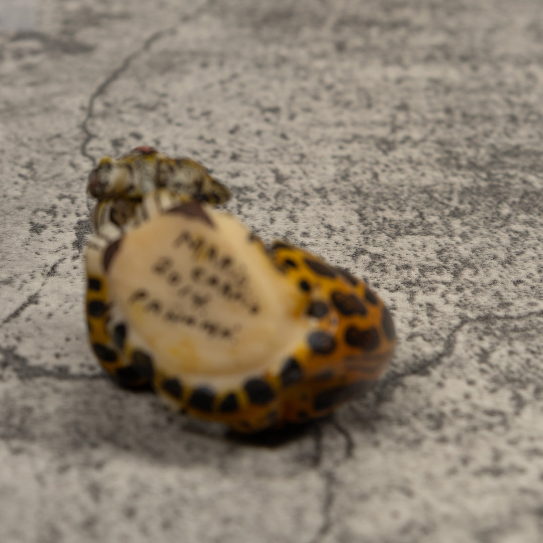 Jaguar Cat With Cub Tagua Carving