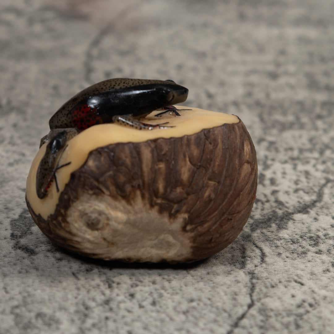 Spotted Poison Dart Frog Tagua Carving