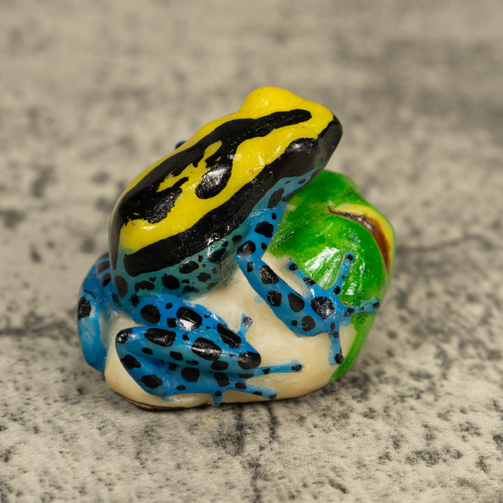 Black Yellow And Blue Poison Dart Frog Tagua Carving