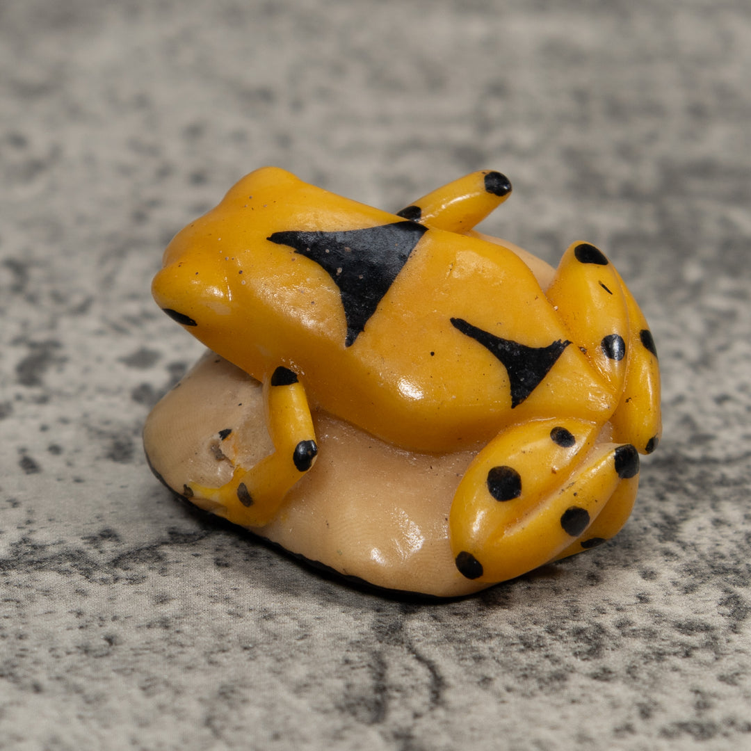 Vintage Gold And Black Frog Tagua Carving