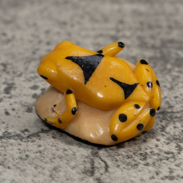 Vintage Gold And Black Frog Tagua Carving