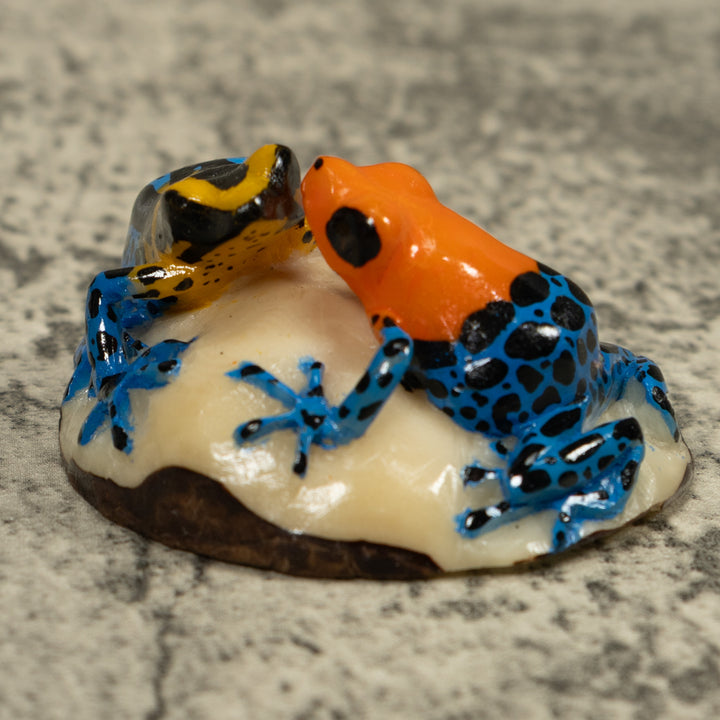 Double Poison Dart Frog Tagua Carving