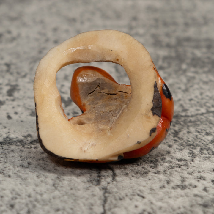 Vintage Orange And Black Poison Dart Frog Tagua Carving