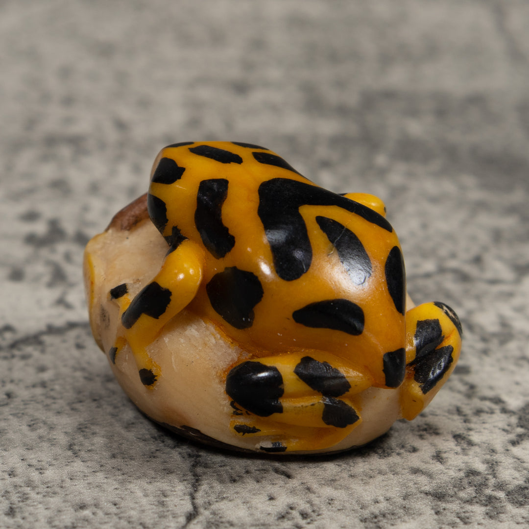 Black And Gold Frog Tagua Carving