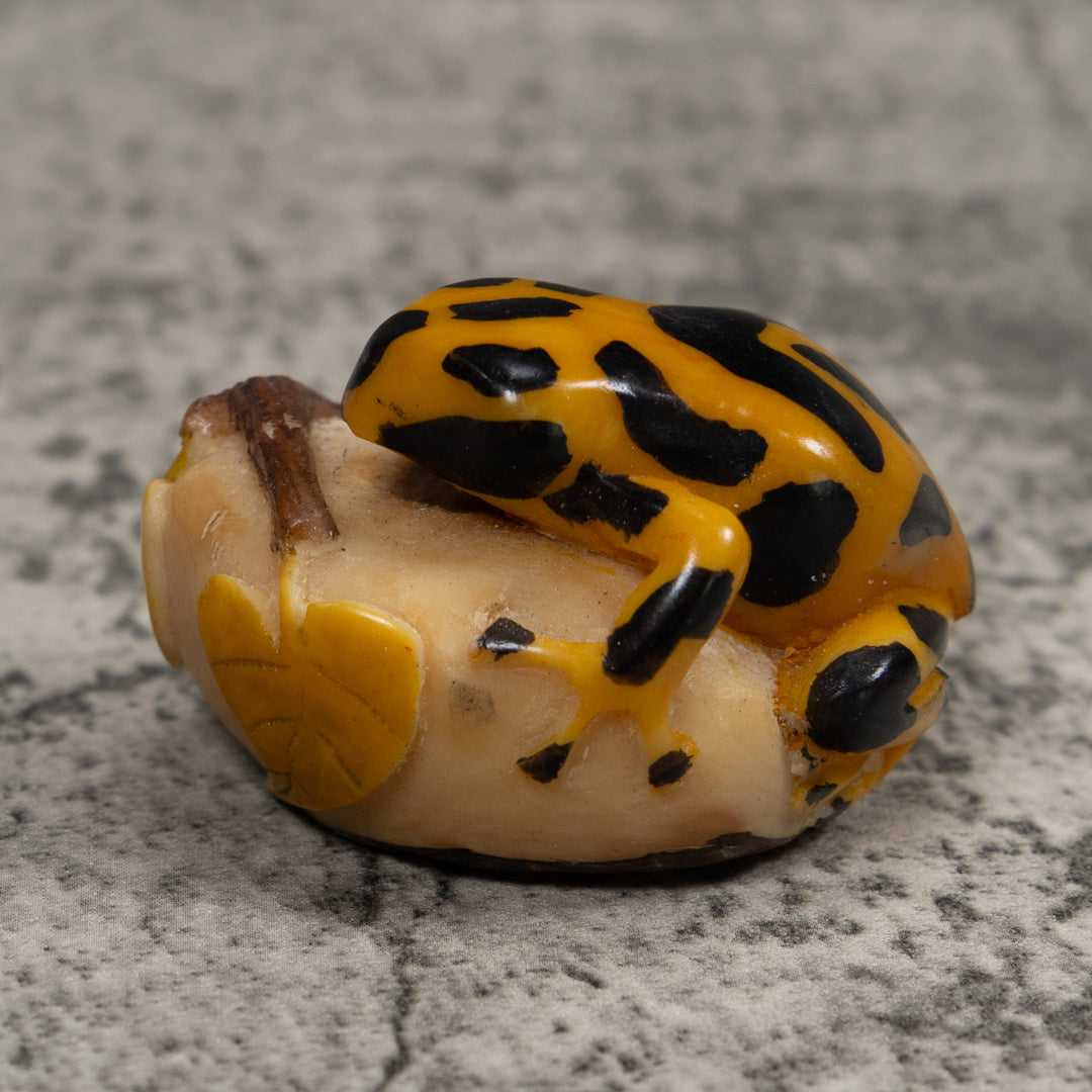 Black And Gold Frog Tagua Carving