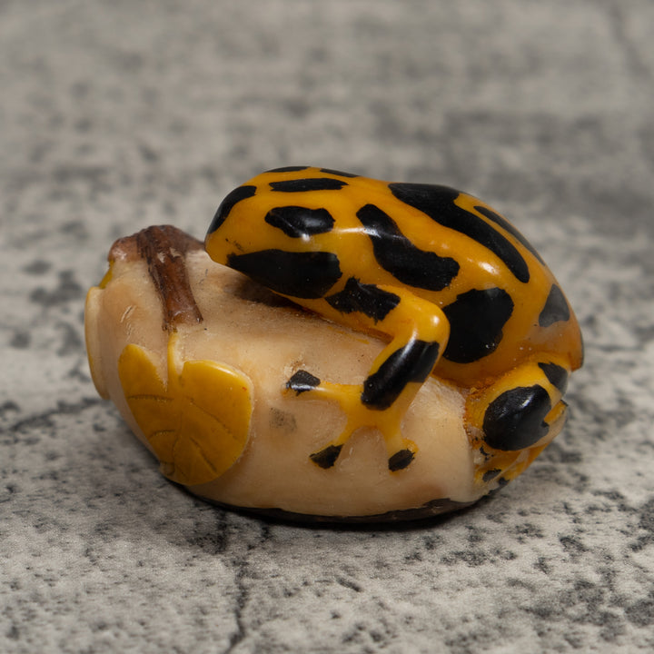 Black And Gold Frog Tagua Carving