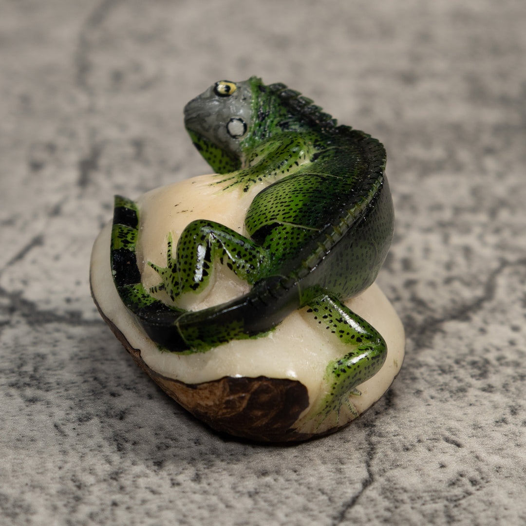 Green And Black Iguana Lizard Tagua Carving