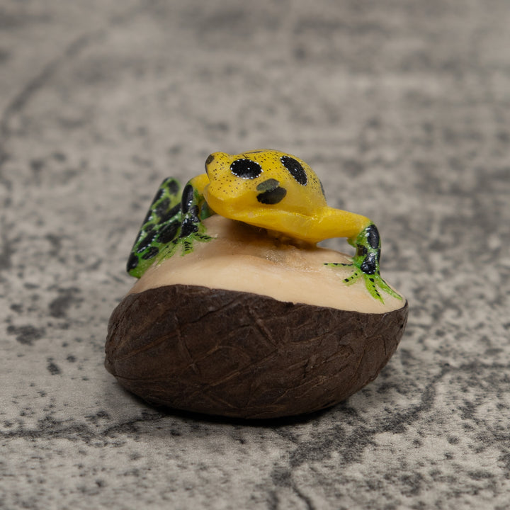 Poison Dart Frog Tagua Carving